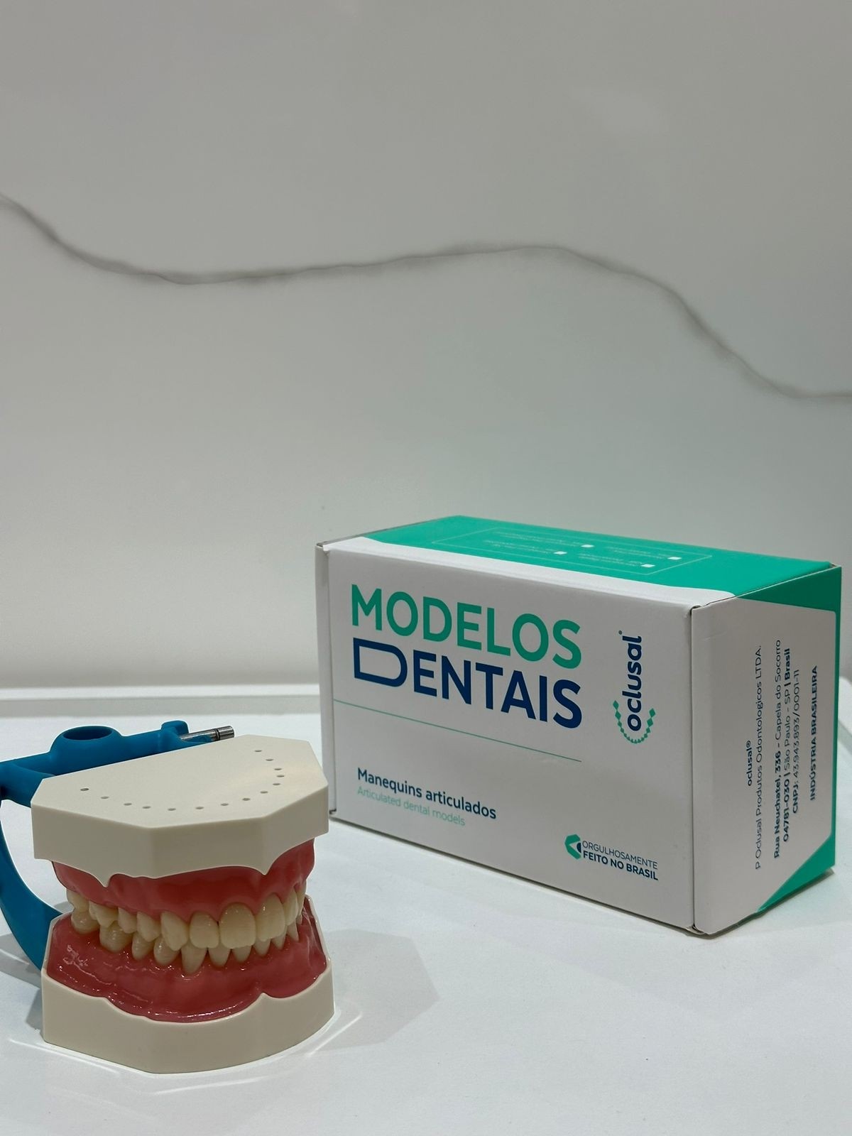 MANEQUIM ARTICULADO FLEX - P-OCLUSAL